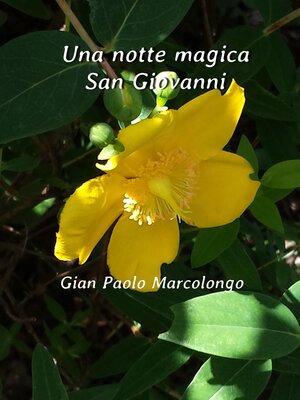cover image of Una notte magica San Giovanni
